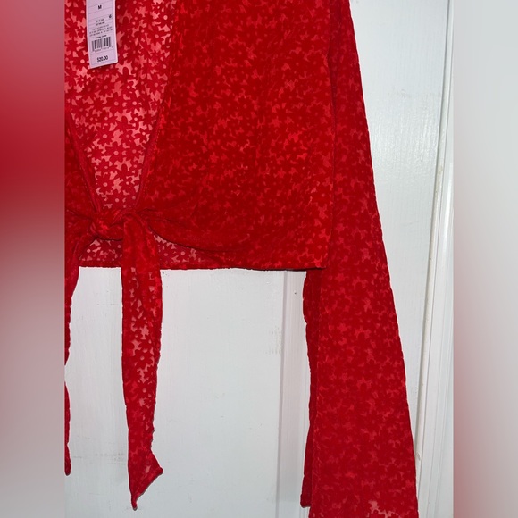 Wild Fable Tie Front Long Sleeve Crop Top Red Floral Velvet Design NWT — M - Picture 6 of 6